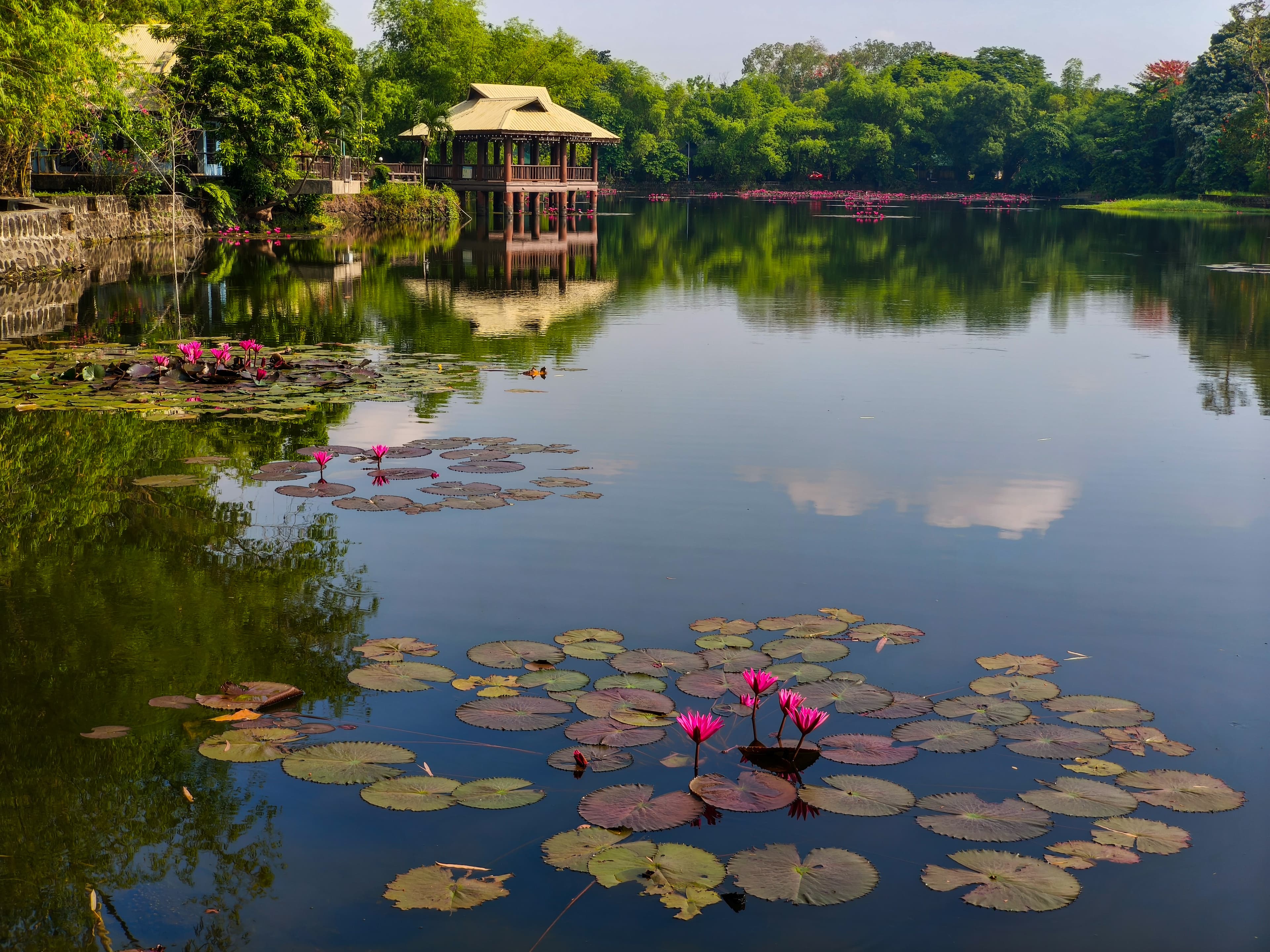 Ninoy Aquino Parks and Wildlife Center - Media 1